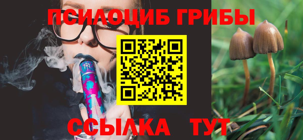 Галлюциногенные грибы MAGIC MUSHROOMS  Вход с VPN  Феодосия 